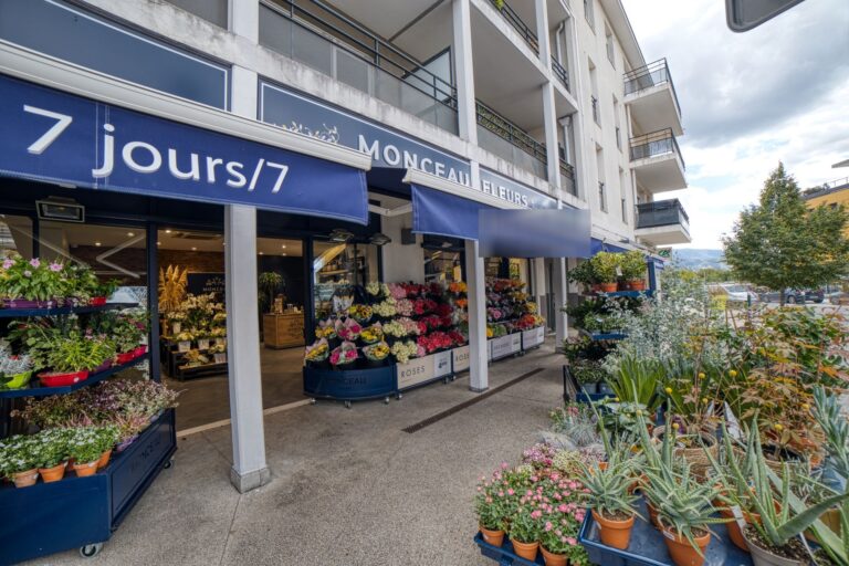 boutique annecy